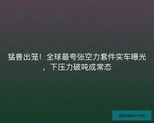 猛兽出笼!全球最夸张空力套件实车曝光,下压力破吨成常态 猛兽出笼!全球最夸张空力套件实车曝光,下压力破吨成常态